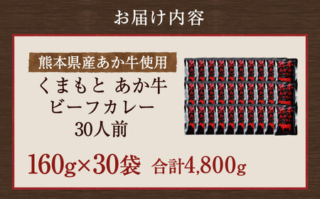 熊本県産あか牛使用 くまもとあか牛 ビーフカレー 30人前 カレー あか牛