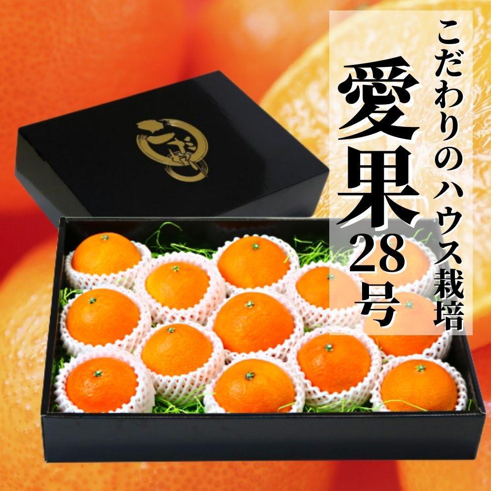 【早期予約受付中！2025年12月～順次発送】こだわりのハウス栽培【愛果28号】化粧箱