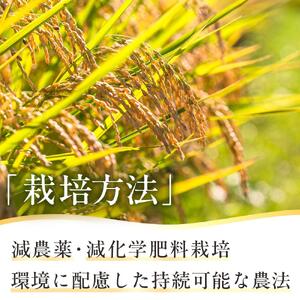 地元産 両郷米 5Kg ×1袋 ｜  お米 コシヒカリ こしひかり 栃木県 大田原市