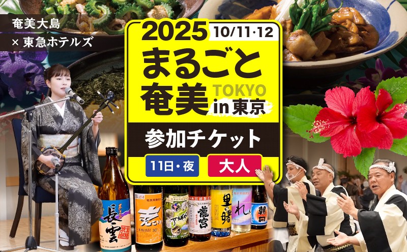 
            2025まるごと奄美in東京 【2025年10月11日（土）】夜の部チケット（大人）　A193-001-02
          