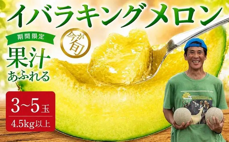 【2027年発送】イバラキングメロン（青肉） 3～5玉入 青肉品種 鉾田メロン！ ／ イバラキング 果物 フルーツ ギフト 農家直送 kbn009_X1