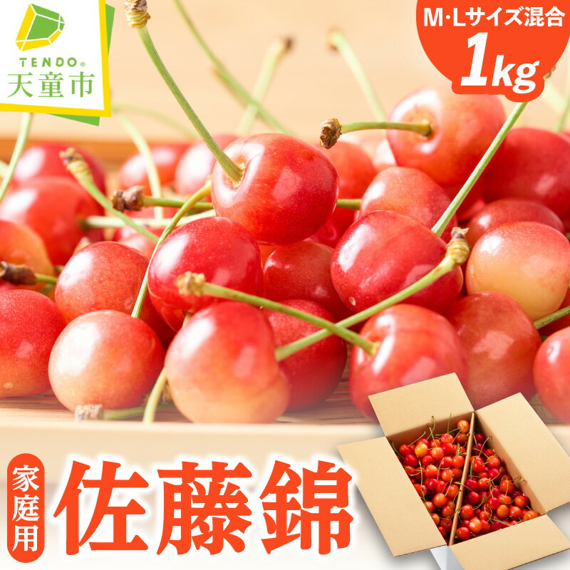 【ふるさと納税】 ご家庭用 さくらんぼ ( 佐藤錦 ) 1kg M玉・L玉混合 山形 先行予約 令和8年産 2026年産 サクランボ チェリー フルーツ 果物 くだもの 旬 ご自宅向け 期間限定 数量限定 冷蔵 お取り寄せ 産地直送 送料無料 【 山形県 天童市 】
