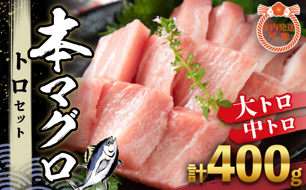 本マグロ トロセット 400g | 【年末年始お届け可能】大トロ 中トロ 鮪 刺身 寿司 お正月