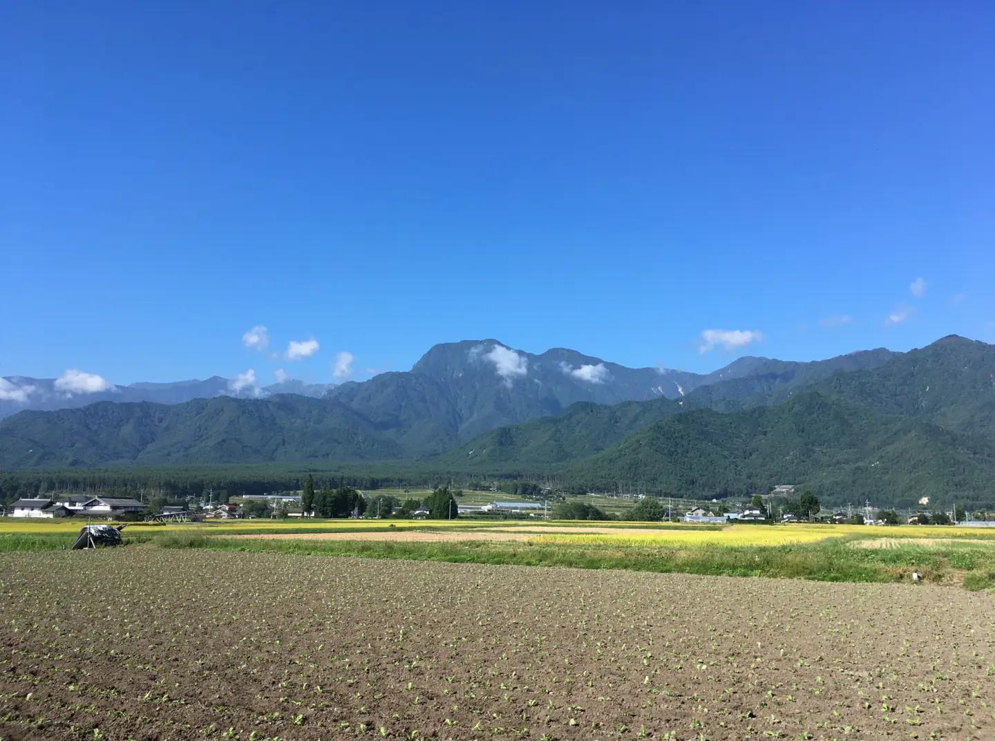 【令和8年産先行予約】『どじょうのいる田んぼのお米』コシヒカリ 玄米 10kg | 馬場農園