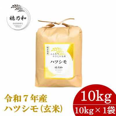 【ふるさと納税】【先行予約】令和7年産　岐阜県産ハツシモ(玄米)10kg【配送不可地域：離島】【1540786】