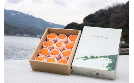 【先行予約】【奇跡の1％】【糖度15度】UWAKAI PREMIER 縁（温州みかん/藍染布・桐箱）（720ml/1本） 【 ふるさと納税 人気 おすすめ ランキング みかん ミカン 蜜柑 フルーツ 果物 贈答 贈り物 お土産 ギフト 旬 温州みかん 甘い 愛媛県産 田縁農園 愛媛県 伊方町 送料無料 】 IKTA042