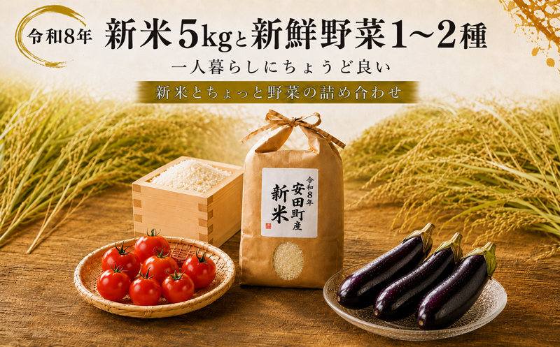 令和8年 新米 ヒノヒカリ 5kg ちょっと野菜の詰め合わせ 令和7年産 米 早期予約 5kg  野菜 セット 詰め合わせ ヒノヒカリ 新米 お米 白米 トマト なす みかん 新鮮 採れたて おこめ 