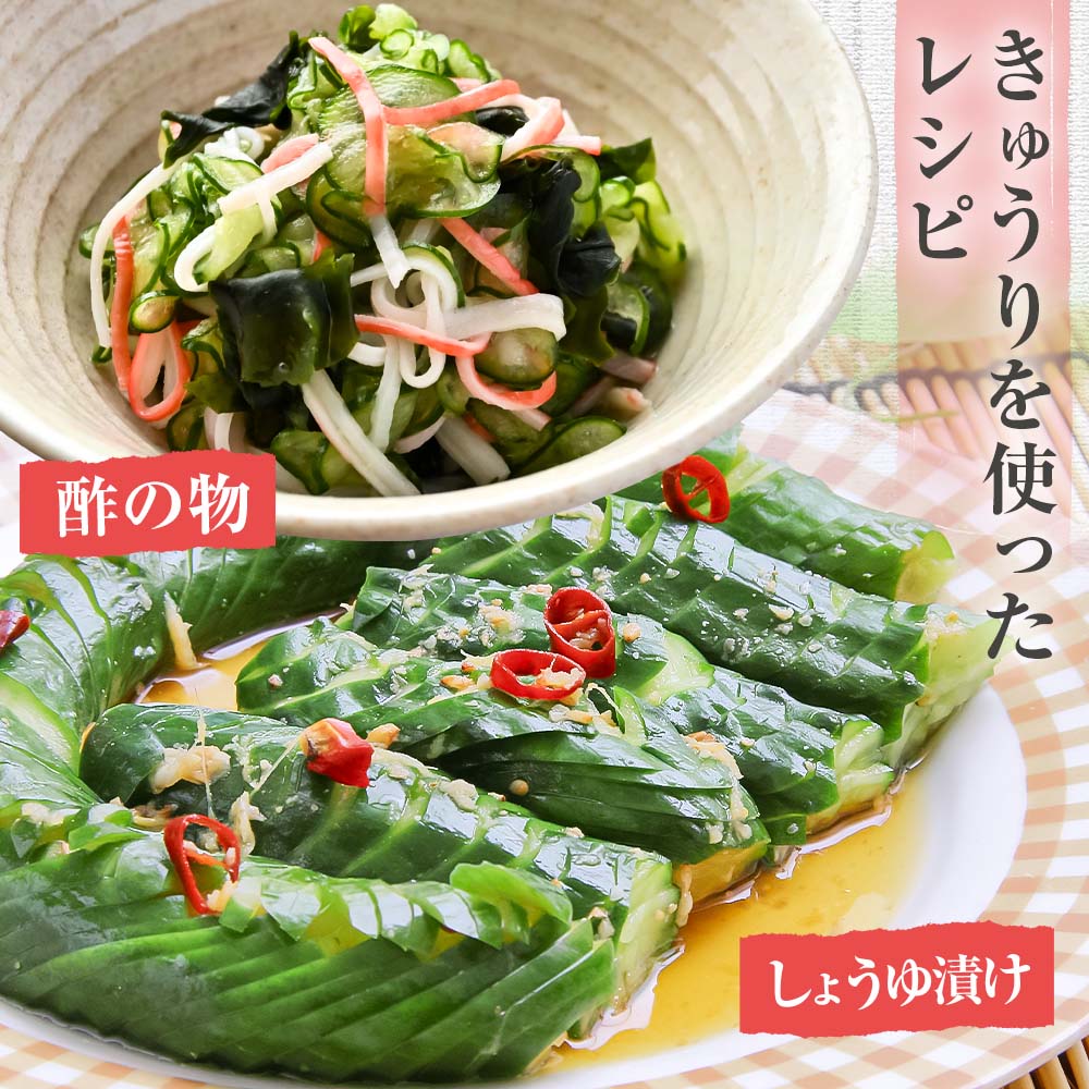 きゅうり 2kg 2キロ キュウリ 野菜 新鮮 サラダ 漬物 浅漬け ぬか漬け 酢の物 炒め物 健康 高知県 土佐清水市【R01451】