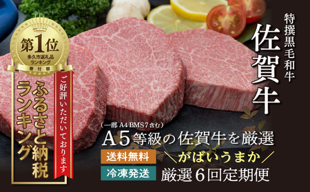【定期便6回】佐賀牛を偶数月に6回お届け 食べ比べ _f-84