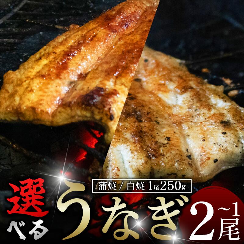 【ふるさと納税】 うなぎ 鰻 蒲焼 白焼 選べる 1尾 2尾 (1尾250g) たれ付き あら塩付き 炭火焼き 秘伝のタレ 高知県産あら塩 土用の丑 丑の日 国産 ウナギ 簡単調理 うな重 うな丼 ひつまぶし 蒲焼き 白焼き ギフト プレゼント 贈答 国産 冷凍 送料無料 吉野川市 徳島県
