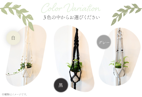 《グレー》季節の観葉植物と3色から選べるマクラメハンギングプランタ―のセット