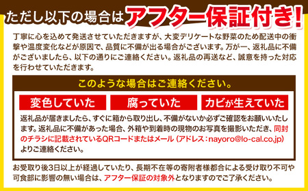  とうもろこし 「 ゴールドラッシュ 」 5kg 以上 11～13本  名寄　とうもろこし