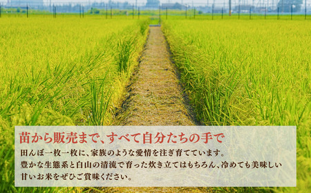 【先行予約】令和8年産  定期便 石川県産コシヒカリ 精米 計10㎏(10㎏×1袋)×3回便 お米 白米 こしひかり｜石川県 小松市 【坂下農産】