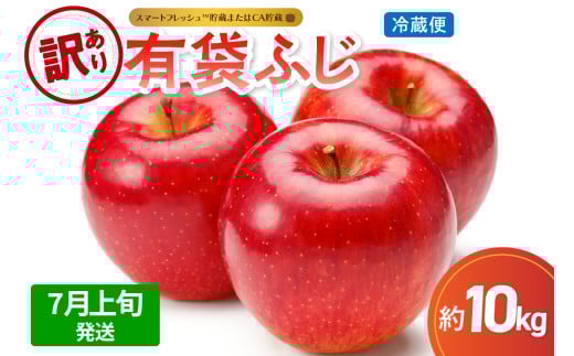 【2025年7月上旬発送】【訳あり】りんご10kg有袋ふじ【スマートフレッシュTM貯蔵またはCA貯蔵・クール便】
