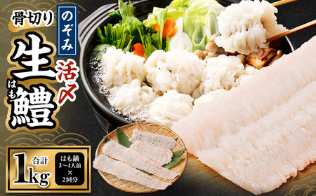 のぞみ水産 活〆 骨切り 生鱧 1kg 【2026年5月上旬から12月上旬発送予定】