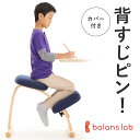 【ふるさと納税】バランス イージー(カバー付き)　 インテリア 家具 姿勢矯正 姿勢が良くなる椅子 姿勢が気になる 姿勢をよくする椅子 日本製造
