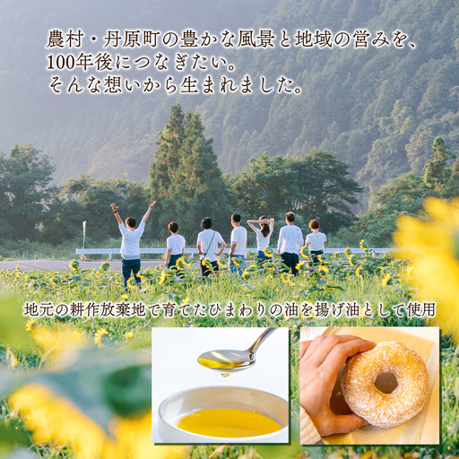 【ふわもちドーナツ】たんばらドーナッツ プレーン10個セット ドーナツ 西条市