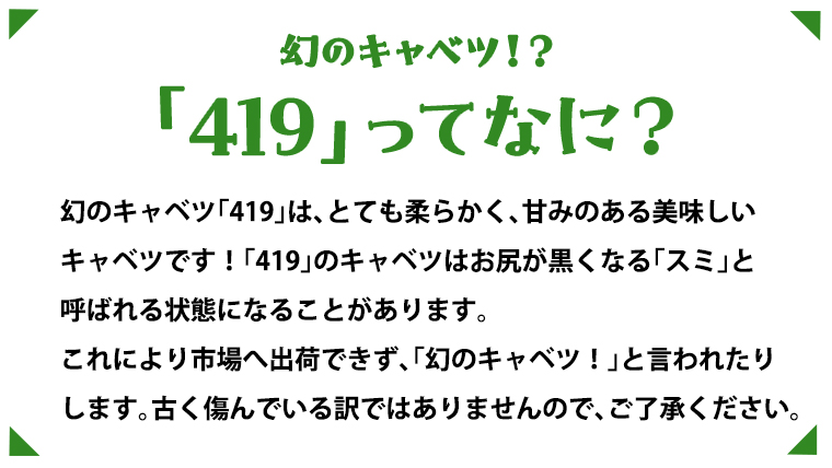 【 8月下旬発送開始 】 嬬恋キャベツ と旬の 高原 野菜 セット 1～2人 様向け 旬の野菜 先行予約 キャベツ 群馬 419 嬬恋キャベツ 産地直送 少量 詰め合わせ アソート [AK001tu]