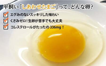 【ノンストレス卵】 平飼い 「しあわせたまご 」40個＜松本養鶏場＞ [CCD021] 生卵 たまご 鶏卵 卵 卵ギフト 卵 たまご 卵セット 卵焼き 卵かけご飯 ゆで卵 卵とじ 生卵 鶏卵 卵黄 卵