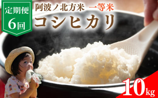 【 定期便 10kg × 6回 】 コシヒカリ 令和6年産 阿波ノ北方米 毎月 1回 1等 米 こめ ご飯 ごはん おにぎり 白米 精米 新米 卵かけご飯 食品 備蓄 備蓄米 保存 防災 ギフト 贈答 プレゼント お取り寄せ グルメ 送料無料 徳島県 阿波市 阿波ノ北方農園