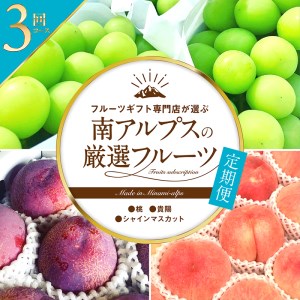 ＜2026年発送先行予約＞フルーツギフト専門店が選ぶ南アルプスの厳選フルーツ定期便 全3品種（桃・貴陽・シャインマスカット） ALPAH010