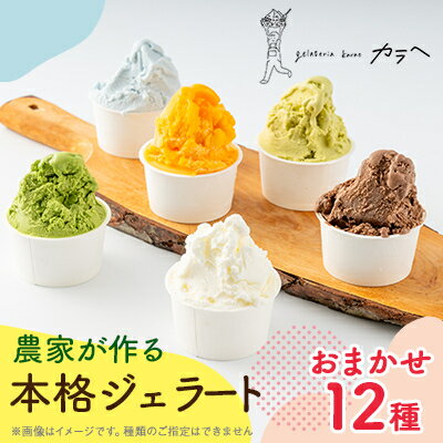 【ふるさと納税】福岡県産 農家が作る本格ジェラート　　12種類おまかせセレクション【配送不可地域：離島】【1543307】