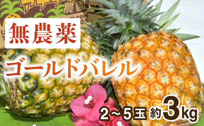 2025年 先行予約 パイナップル ついに実現！転換期間中　JASオーガニック アナナスバレル 約3kg 2～5玉 果物 フルーツ
