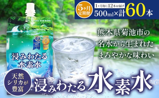 【5ヶ月定期便】浸みわたる水素水 12本 内容量 1本500ml 計30L《お申込み翌月から出荷》水 水素水 天然水 飲料水 ミネラルウォーター アルミパウチ パウチ 国産 九州産 熊本県産 菊池市産