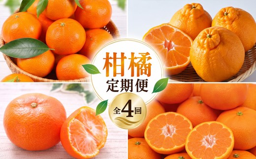 柑橘 みかん 定期便 4回 デコポン 温州みかん 小原紅早生 紅みかん 訳あり 蜜柑 orange 果物 フルーツ ヨーグルト アイス 朝食 おやつ ビタミン 香川県 丸亀市