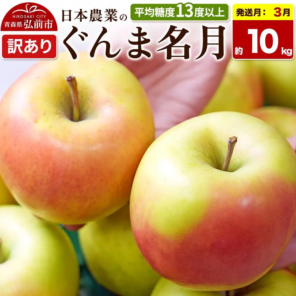 【27年3月クール便発送】りんご ぐんま名月【訳あり】約10kg 平均糖度13度以上 青森県 弘前市 果物 フルーツ 林檎 リンゴ くだもの 不揃い 規格外