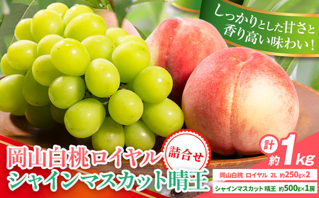 【先行予約】岡山県産 岡山白桃 ロイヤル L～3Lサイズ シャインマスカット 計 1kg 詰合せ 株式会社 はちや《7月上旬‐8月下旬頃出荷》【配送不可地域あり】