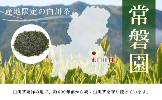 農薬不使用！煎茶 ギフト NO.29 （みどり100g×3 計300g） 敬老の日 常磐園 みどり 日本茶 緑茶 煎茶 茶葉 白川茶 美濃白川茶 農薬不使用栽培茶 お茶 一番茶 春摘み 大容量 岐阜県
