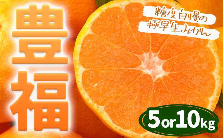 
            極早生みかん 「 豊福 」選べる 5kg 10kg 箱入り 都呂々みかん生産者グループ《10月中旬-11月下旬頃出荷》 フルーツ 果物 くだもの 柑橘 みかん ミカン 蜜柑 熊本県 苓北町
          