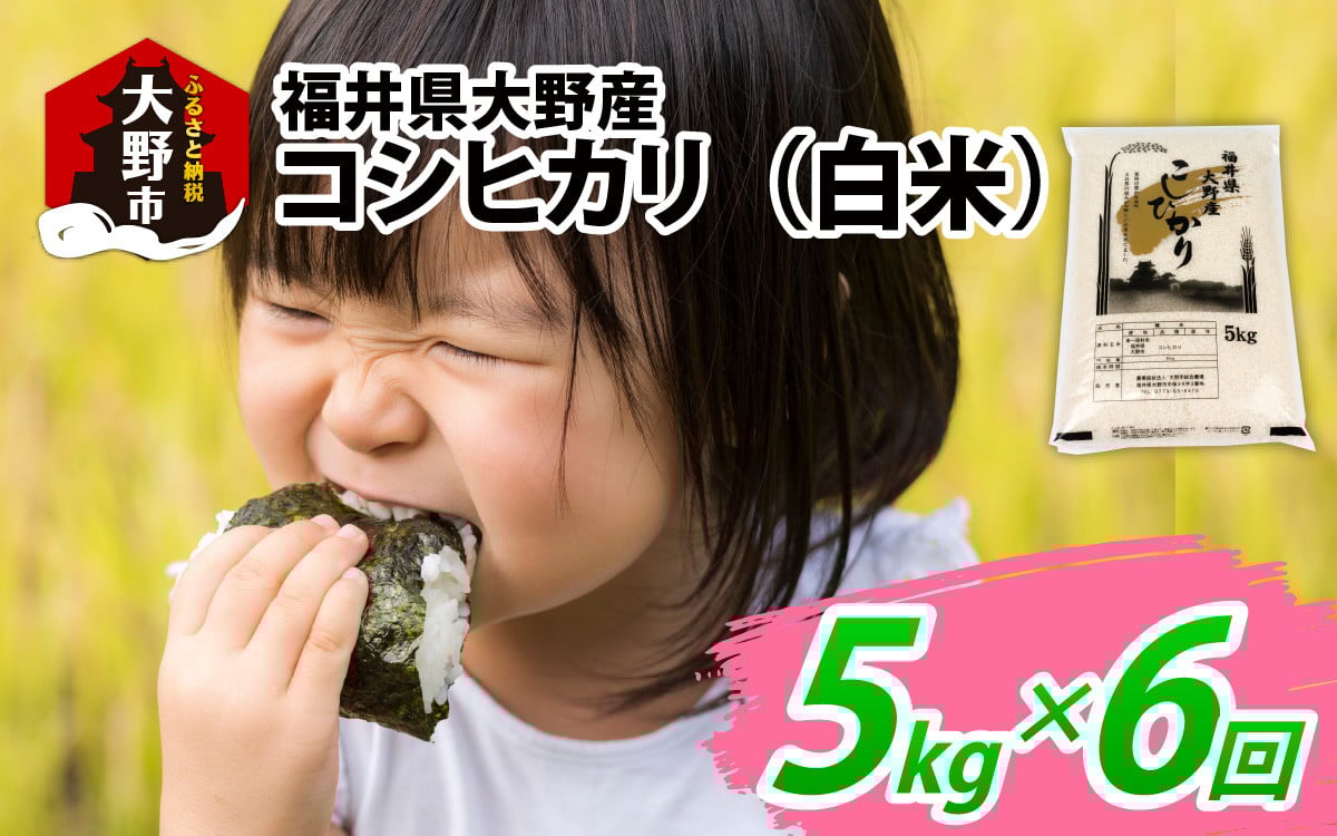
                  【6ヶ月定期便】【令和7年産】福井県大野産コシヒカリ（白米）5kg×6回　計30kg
                