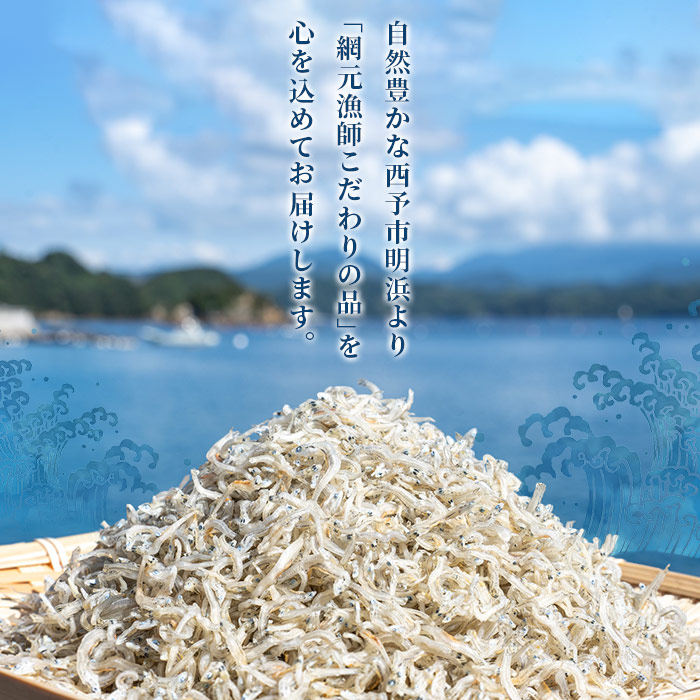 ＜【2回定期便】訳あり ちりめん 合計700g（350g入り×2袋）＞ 定期便 天日干し お徳用 しらす シラス じゃこ 小分け 魚 小魚 海産物 加工品 おにぎり おつまみ おやつ 家庭用 特産品 