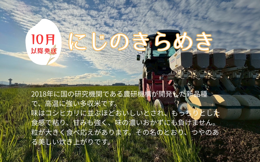 お米 令和7年産 新米 5kg にじのきらめき 特別栽培米  先行予約  【2025年10月以降発送】 精米 米 こめ コメ 白米 ごはん ライス 愛媛 伊予市｜C148