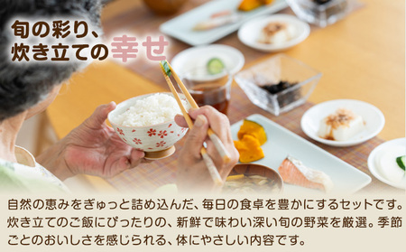 米 野菜 詰め合わせ 季節の野菜 きぬむすめ ひのひかり おまかせ 米3kg+野菜5種 ありがとう園《30日以内に出荷予定(土日祝除く)》岡山県 矢掛町 お米 白米 旬の野菜