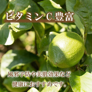 レモン 約 3kg 24個  愛媛県 愛南町 フルーツアイランド マルエム直販 【レモン】 