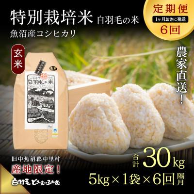ふるさと納税 十日町市 【2ヵ月毎定期便】農家直送!魚沼産コシヒカリ特別栽培 玄米(5kg×1袋)全6回