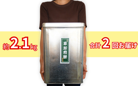 【2回定期便】訳あり 一斗缶 草加せんべい 合計約4.2kg（割れ、カケ、偏り等有） | 訳アリ 一斗缶 煎餅 せんべい 草加煎餅  訳あり 訳アリ 