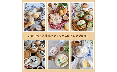 No.496 お米で作った簡単パンミックス（300g×10セット）
