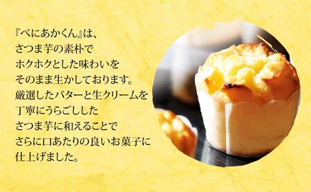 No.801 スイートポテトべにあかくん12個入