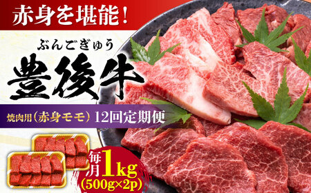 【全12回定期便】おおいた豊後牛 赤身モモ 焼肉用 1kg(500g×2P) / 焼肉 焼肉 焼肉 焼肉 焼肉 焼肉 / 日田市 / 株式会社MEAT PLUS[AREI097]