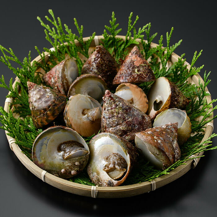 【ふるさと納税】＜内容量が選べる＞陣笠にな (約1kg or 約2kg) 魚介 貝 にな ニナ 海鮮 バーベキュー 【opba012・opba013】【海べ】