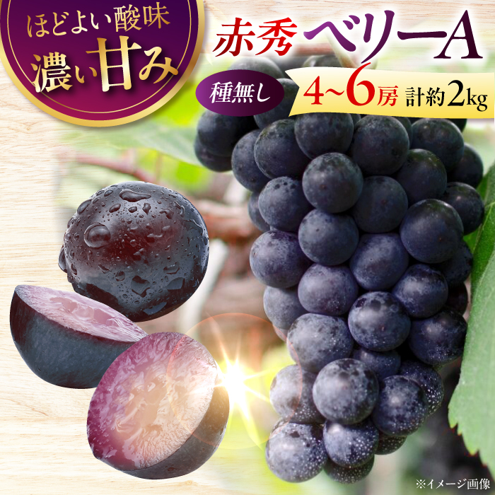 【先行予約】【9月上旬から9月下旬に順次発送】 ぶどう ベリーA 2kg（4から6房）赤秀 ぶどう 葡萄 フルーツ 果物 くだもの ぶどう 三次市/芝床農園 [APCK005]