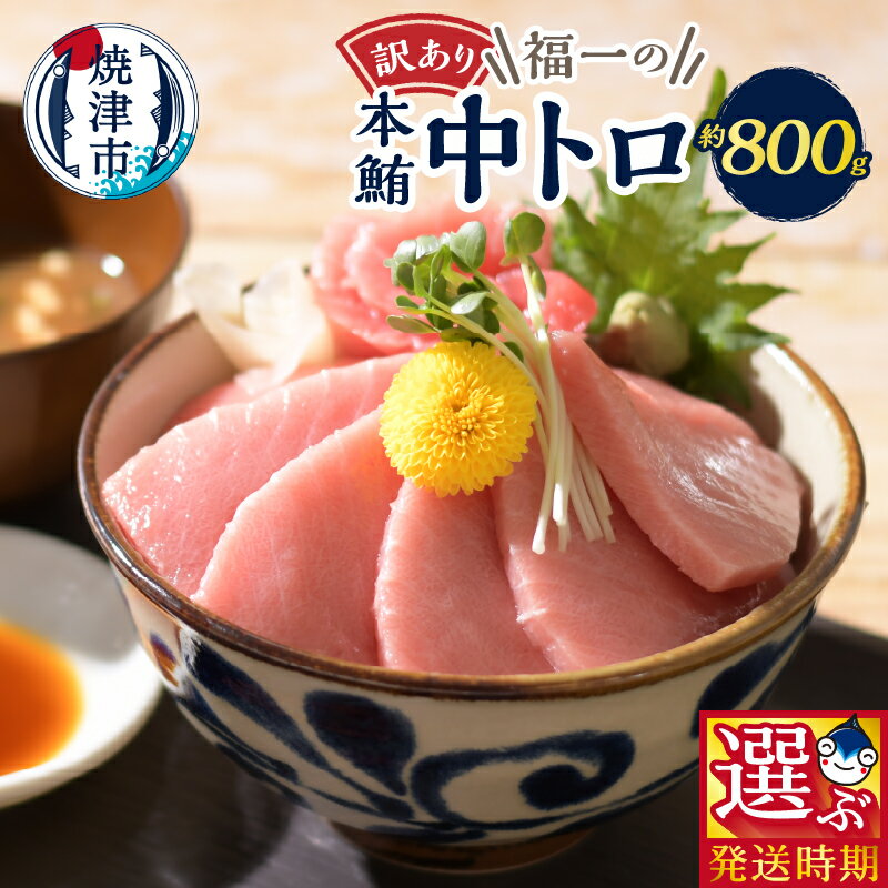 【ふるさと納税】 【発送時期が選べる】 訳あり まぐろ 刺身 本マグロ 中トロ 魚 冷凍 焼津 約800g 選べるお届け月 ご自宅用 a21-065