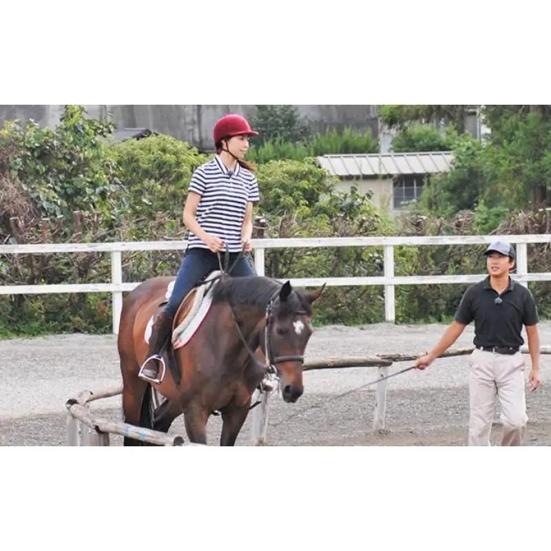 乗馬体験 伊豆 ペアレッスン 45分 天城 子供 大人 乗馬体験