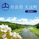 【ふるさと納税】奈良県大淀町への寄附（返礼品なし）