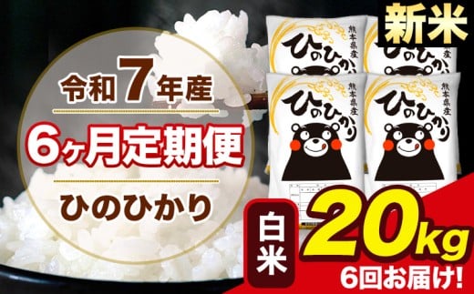新米 令和7年産 【6ヶ月定期便】 ひのひかり 白米 20kg 5kg×4袋 計6回お届け 熊本県産 こめ コメ 白米 精米 荒尾市 ひの 米 定期 《お申込み翌月から出荷》