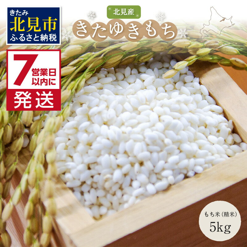 【ふるさと納税】《7営業日以内に発送》令和7年産 北海道産きたゆきもち 精白米 5kg ( ( 米 お米 モチ米 もち米 赤飯 ぼたもち おはぎ おこわ 美味しい 北海道 )